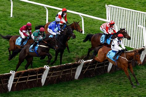 favourite to win cheltenham|Cheltenham Festival tips: Experts on best bets and 15 horses to .